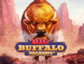 game logo by Skywind Group on mrpachoscasino.com