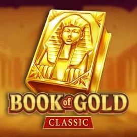 game logo by Playson on mrpachoscasino.com