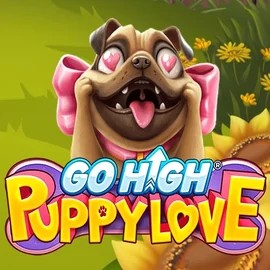 game logo by RubyPlay on mrpachoscasino.com